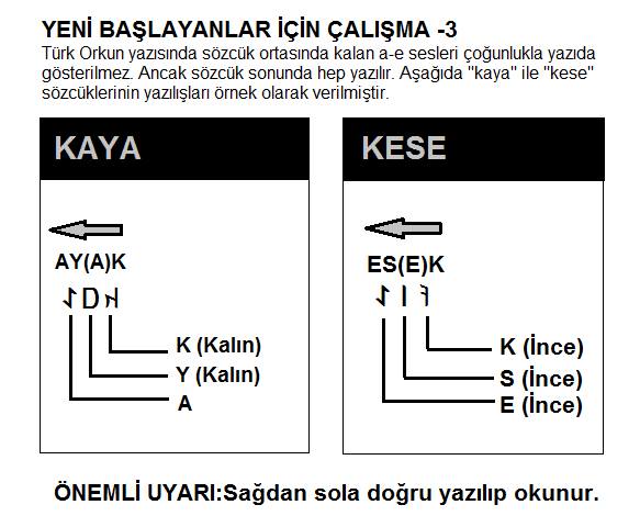 Yeni başlayanlar için çalışma 3