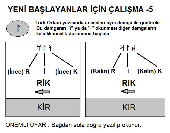 Yeni başlayanlar için çalışma 5